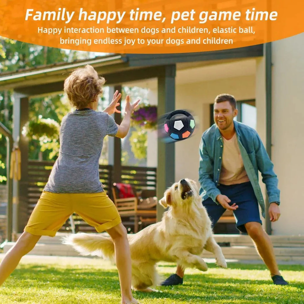 Black football-shaped tennis ball dog toy with squeaker for outdoor fetch