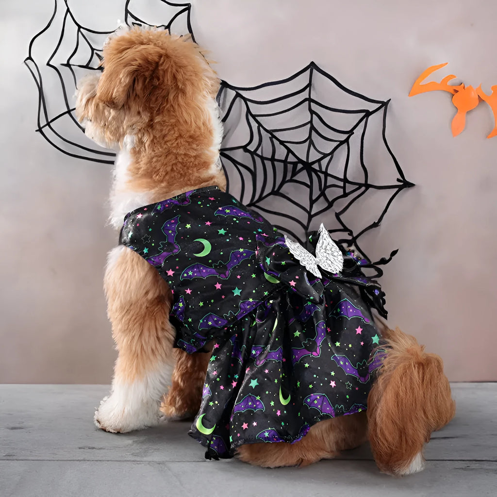 Dog wearing an angel wings Halloween costume in bright orange or purple colours