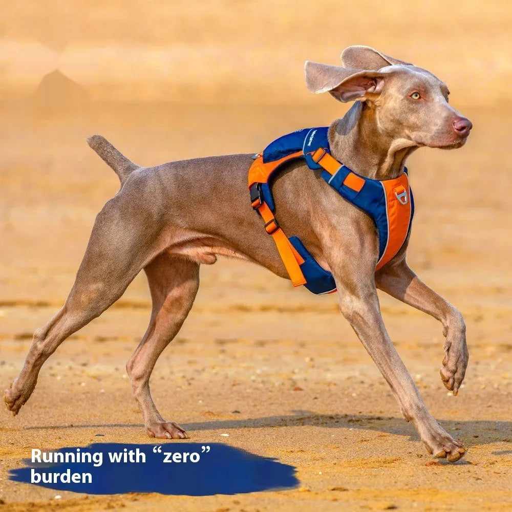 Nylon dog chest strap vest harness with single chest back design in orange blue colour
