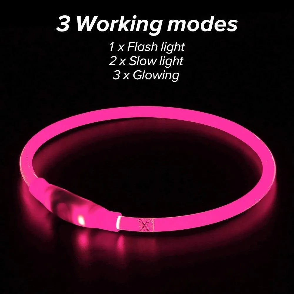 USB rechargeable LED dog collar glowing blue with adjustable TPU strap and charging cable