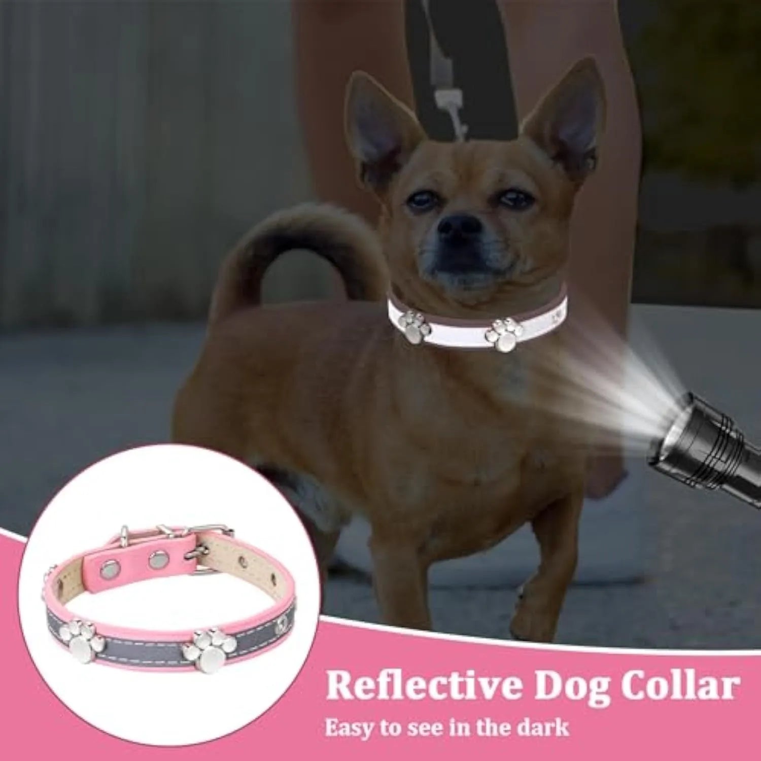 Reflective PU leather dog collar with metal buckle and decorative paw rivet, shown on a size chart.