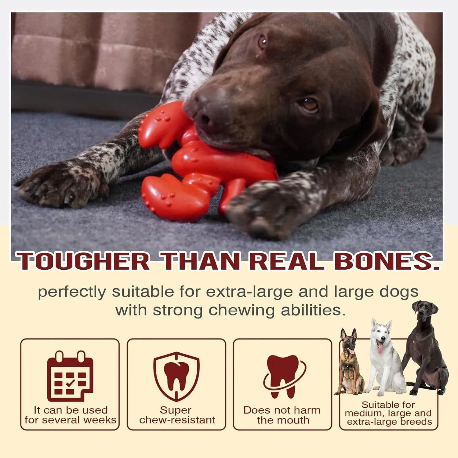 Red hard nylon chew toy for large dogs on a white background