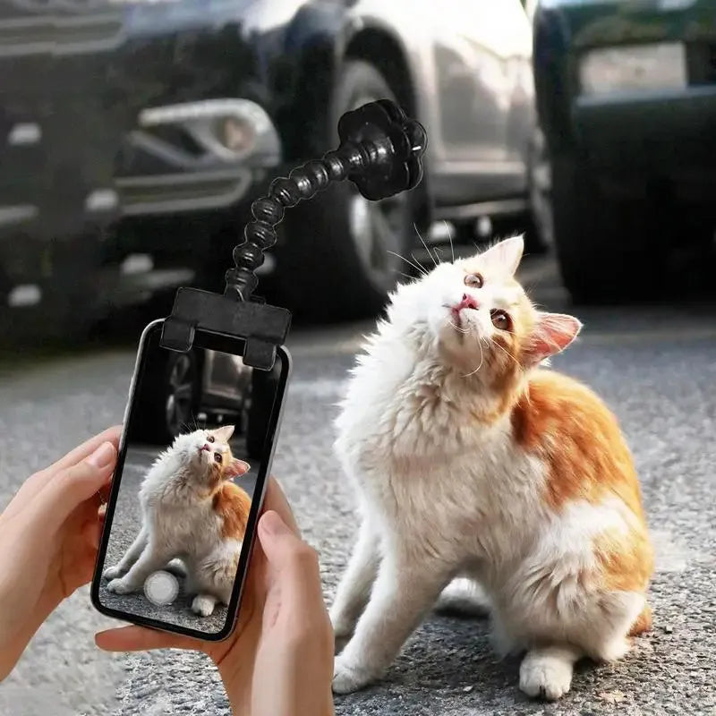 Black pet photography tool with phone clamp and treat holder for cat and dog photography