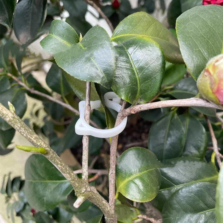 Cat-shaped plastic plant clip in green colour with dimensions 3cm wide by 4cm tall