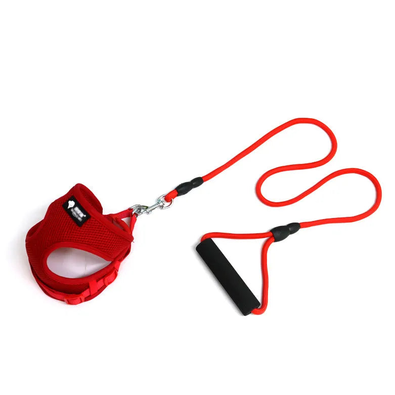 Dog leash and collar set with foam handle in blue, pink, yellow or red colours