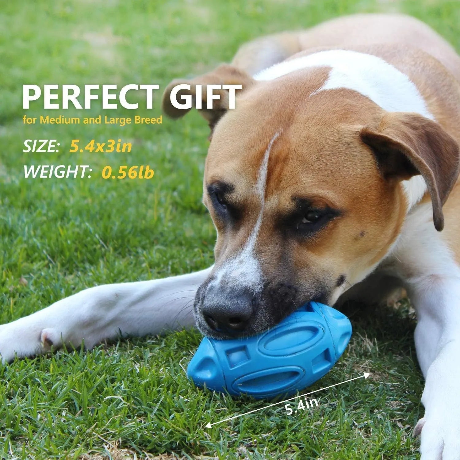 Blue, green, and orange natural rubber squeaky dog ball with textured surface grooves for aggressive chewers.