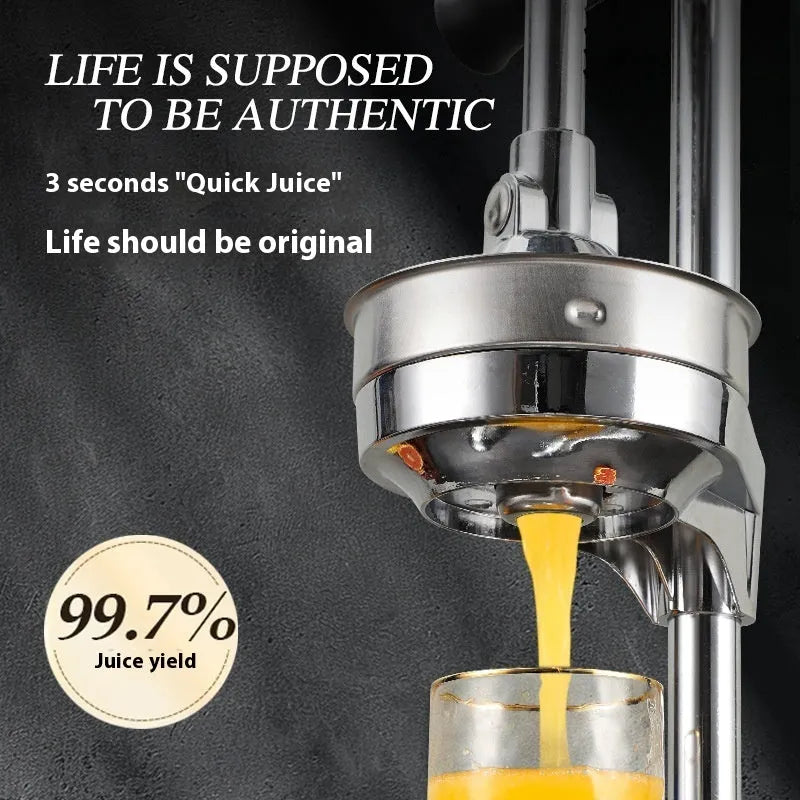 Vertical stainless steel manual citrus juicer with zinc alloy components in modern design