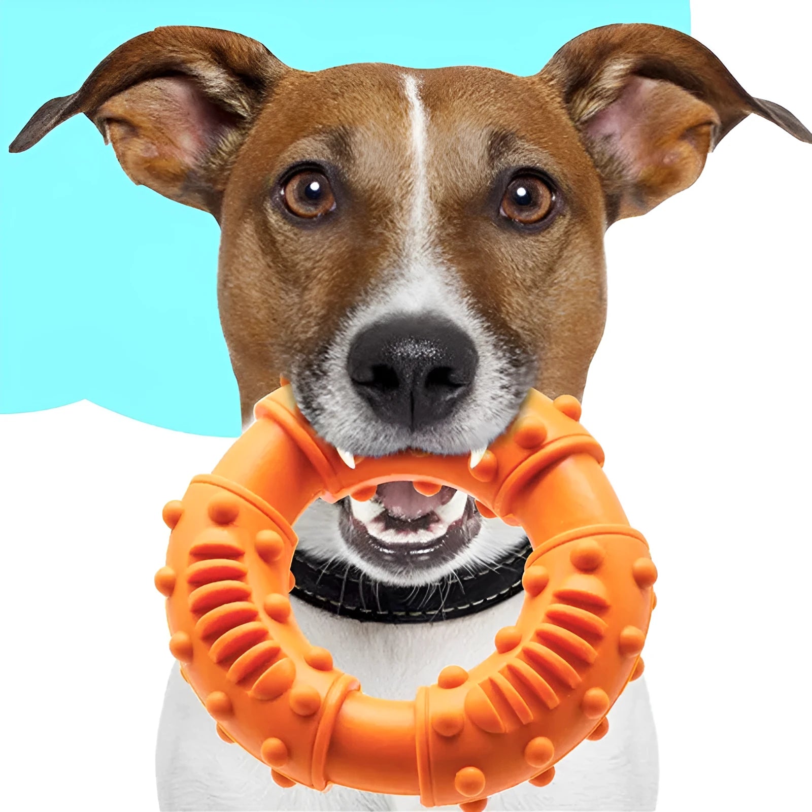 Blue hollow dog fetching stick toy for safe play with puppies and large dogs