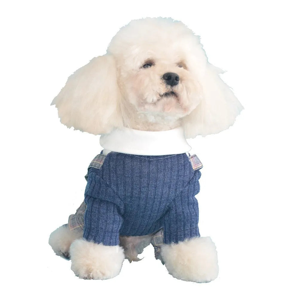 Small breed dog wearing orange cotton shirt with simple collar design