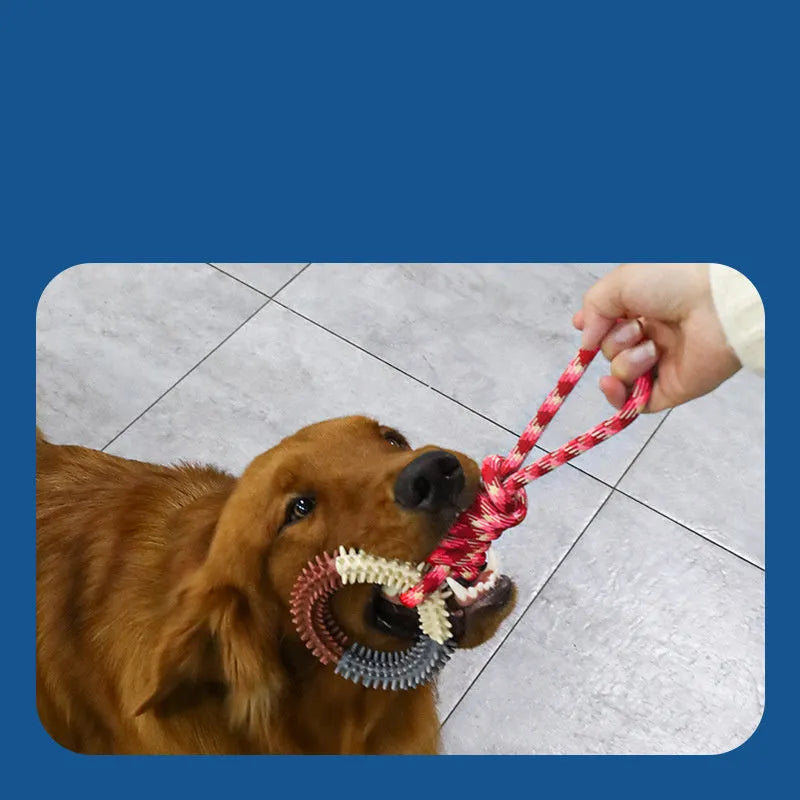 Blue braided rope dog chew toy with knotted ends on a wooden floor