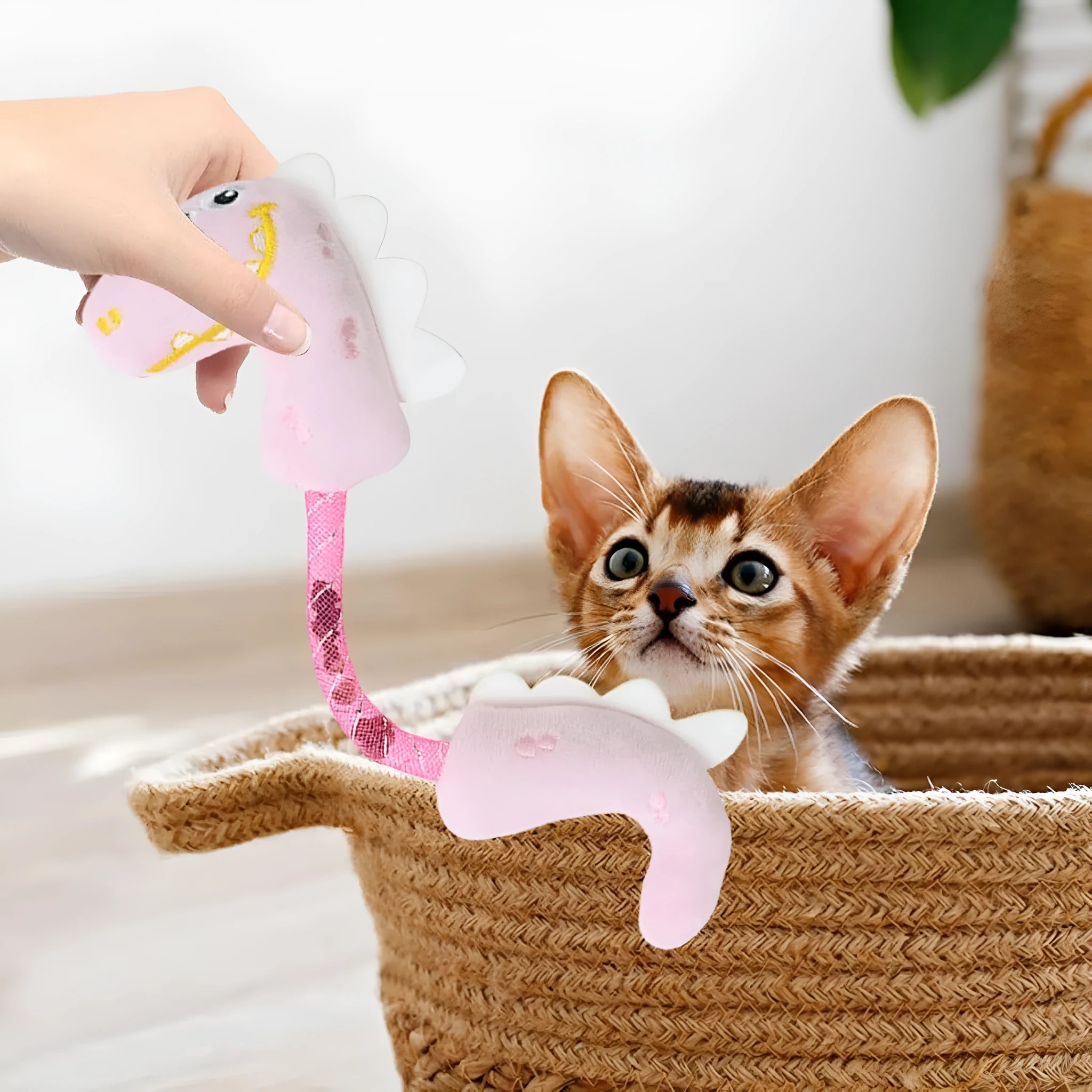 Set of four cat toys including plush chew toys, catnip rope, springs, and kicker toy on floor