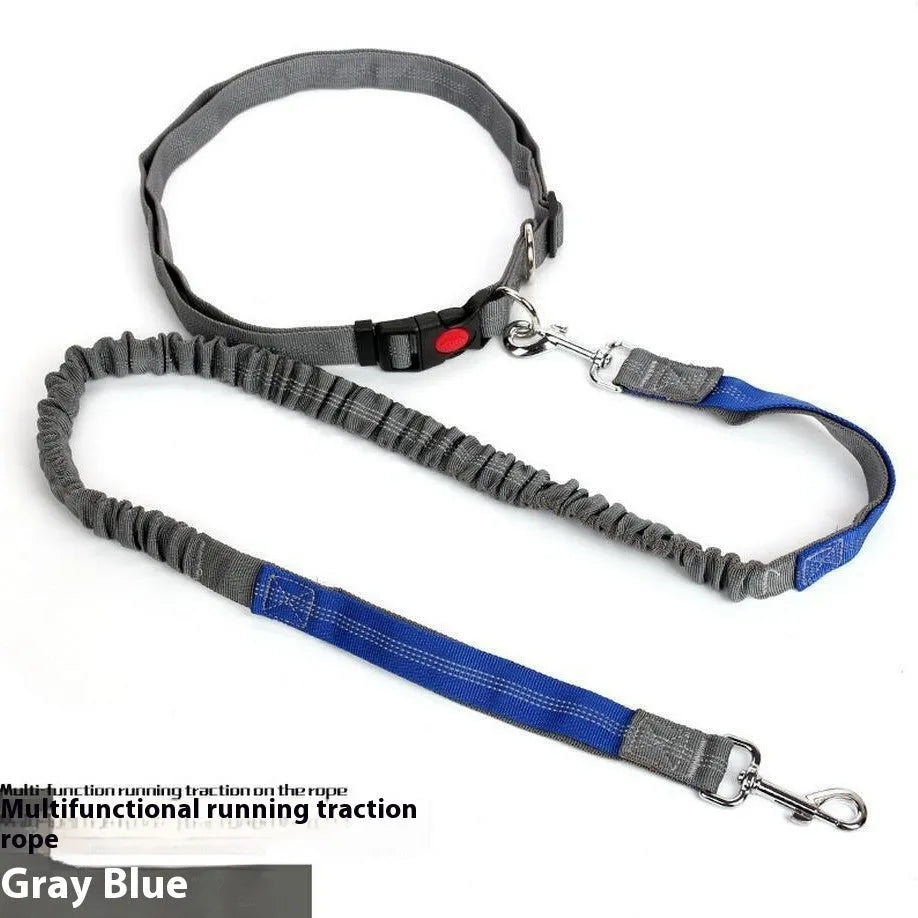 Night reflective nylon dog leash with elastic sling in blue and red colour combination