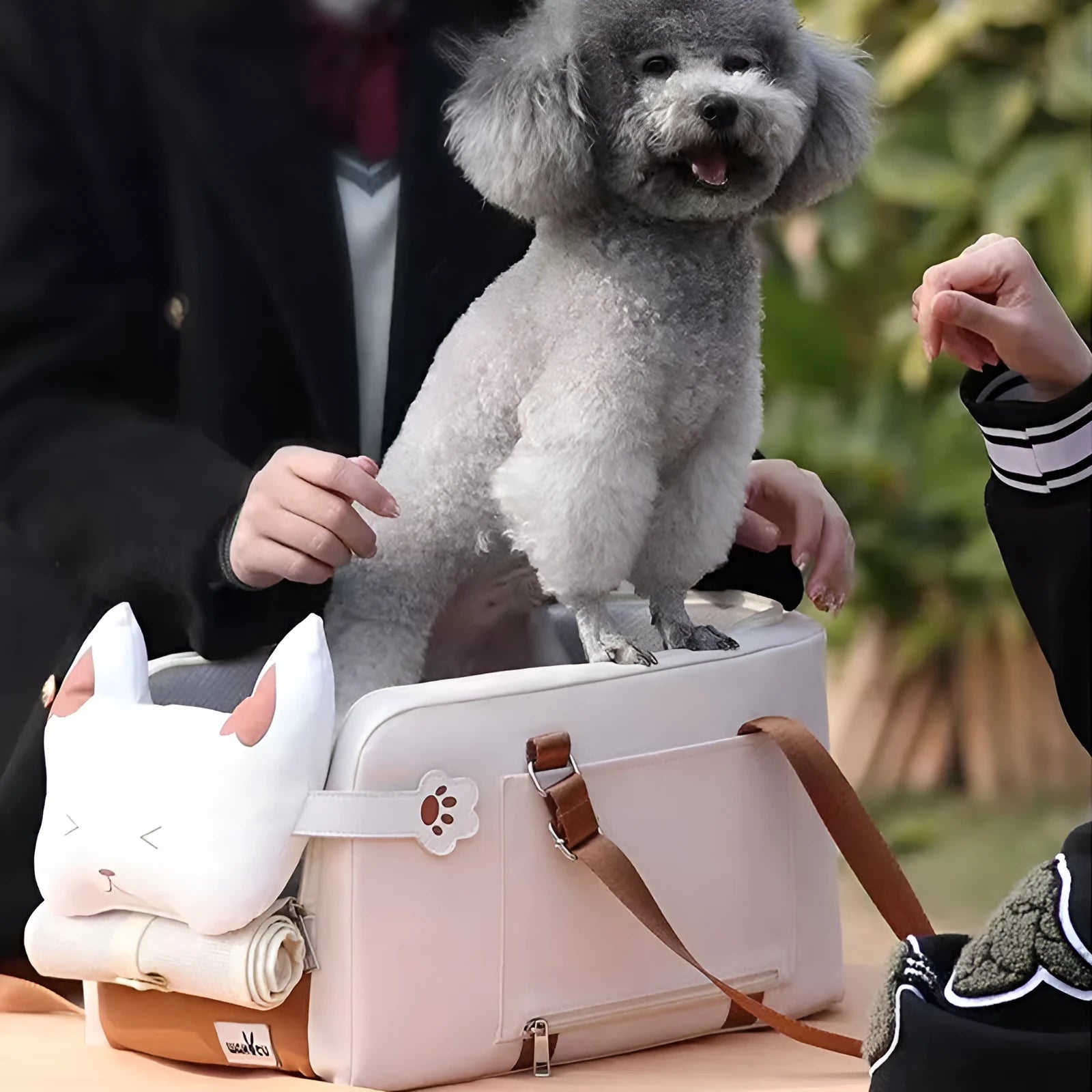 Beige hard-sided pet carrier with one-shoulder strap measuring 43x25x22.5cm for pets under 15kg