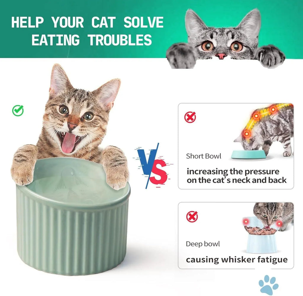 Ceramic elevated cat bowl in green, tilted design for anti-vomit, whisker-friendly feeding.