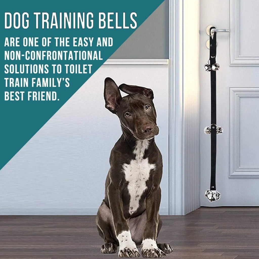 Silver metal dog training bells on an adjustable black nylon leash hanging from a door handle.