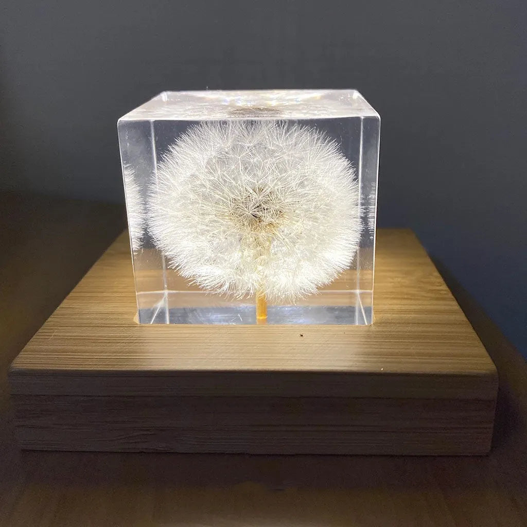 5cm clear resin cube with preserved dandelion inside, wooden box, and USB charging base
