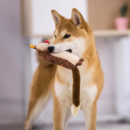 Pet relaxing plush sounding toy in sponge raccoon colour, soft squeaky toy for dogs and cats