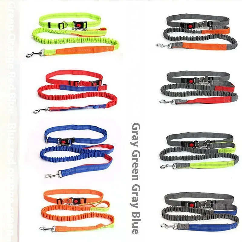 Night reflective nylon dog leash with elastic sling in blue and red colour combination