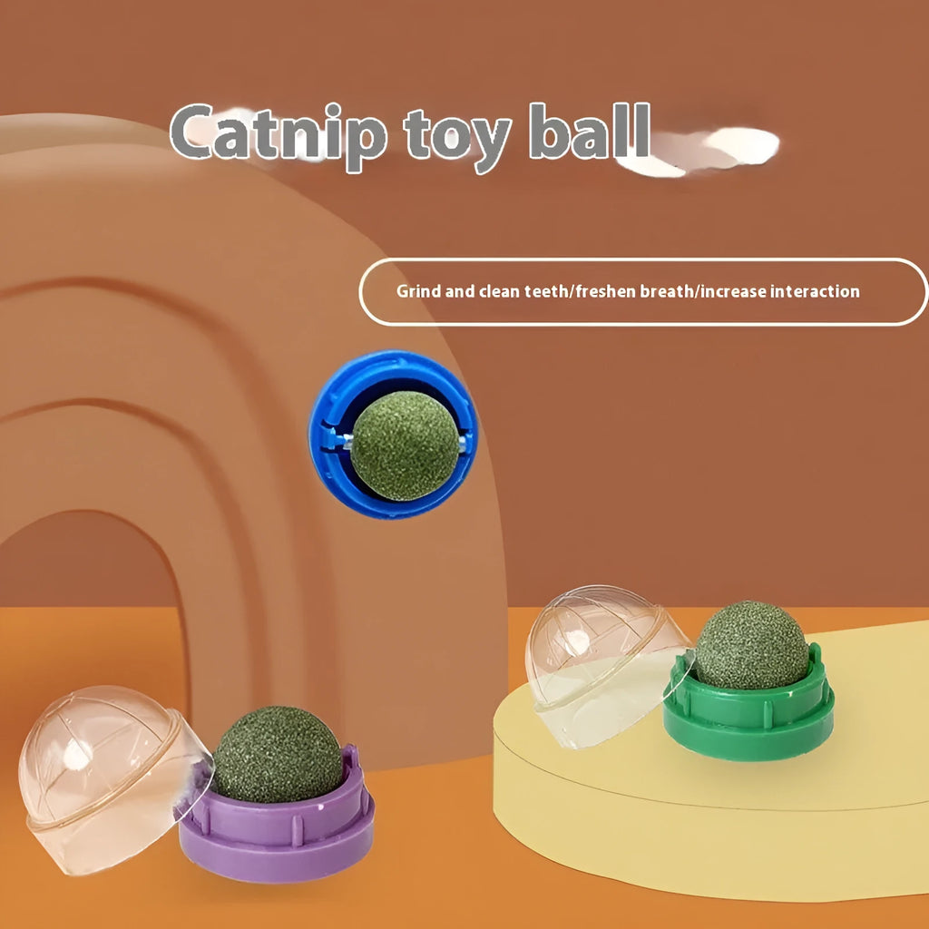 Plastic cat toy with textured dental cleaning surface and catnip ball in multiple colour options