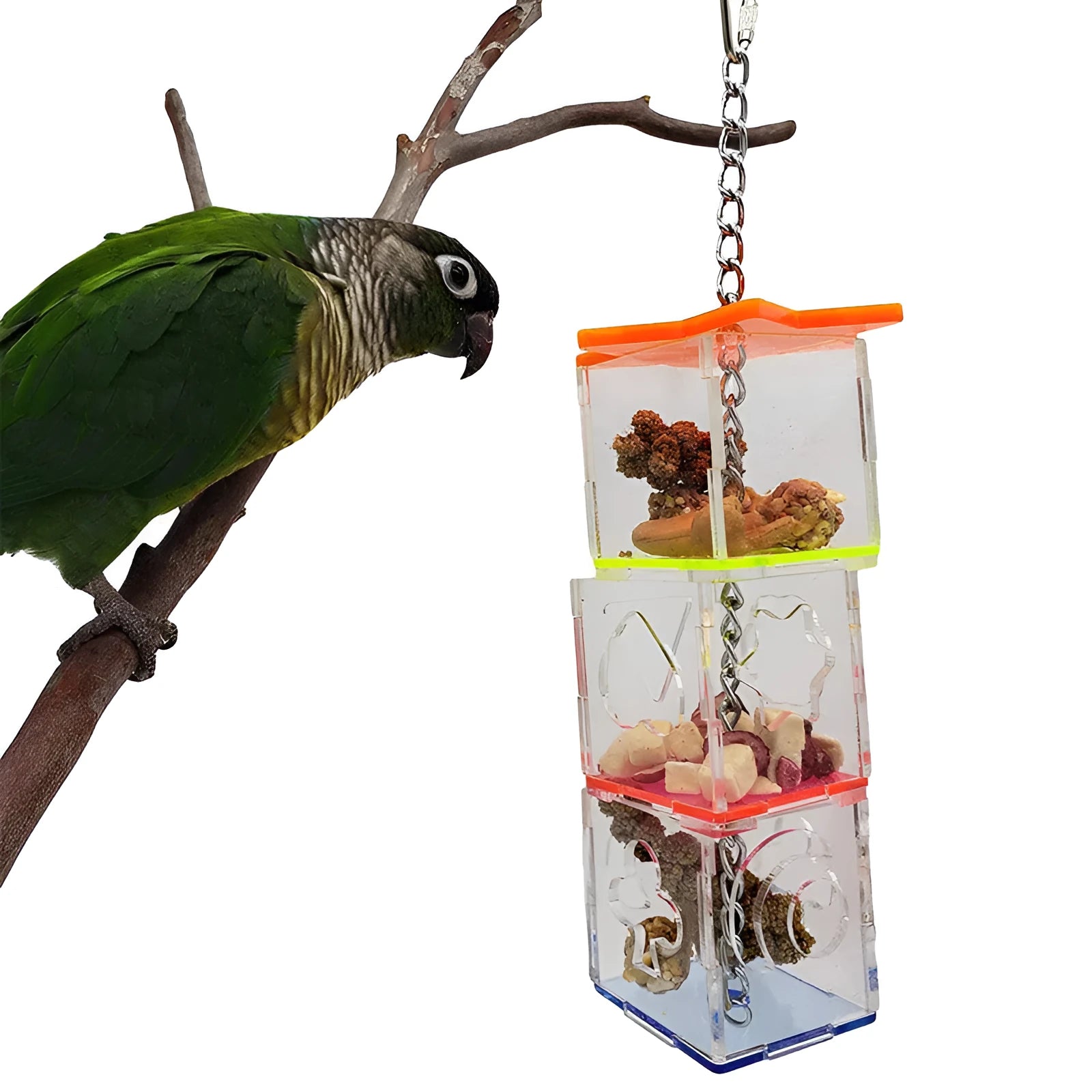 Clear acrylic parrot foraging toy, a long hollow tube for hiding bird food.