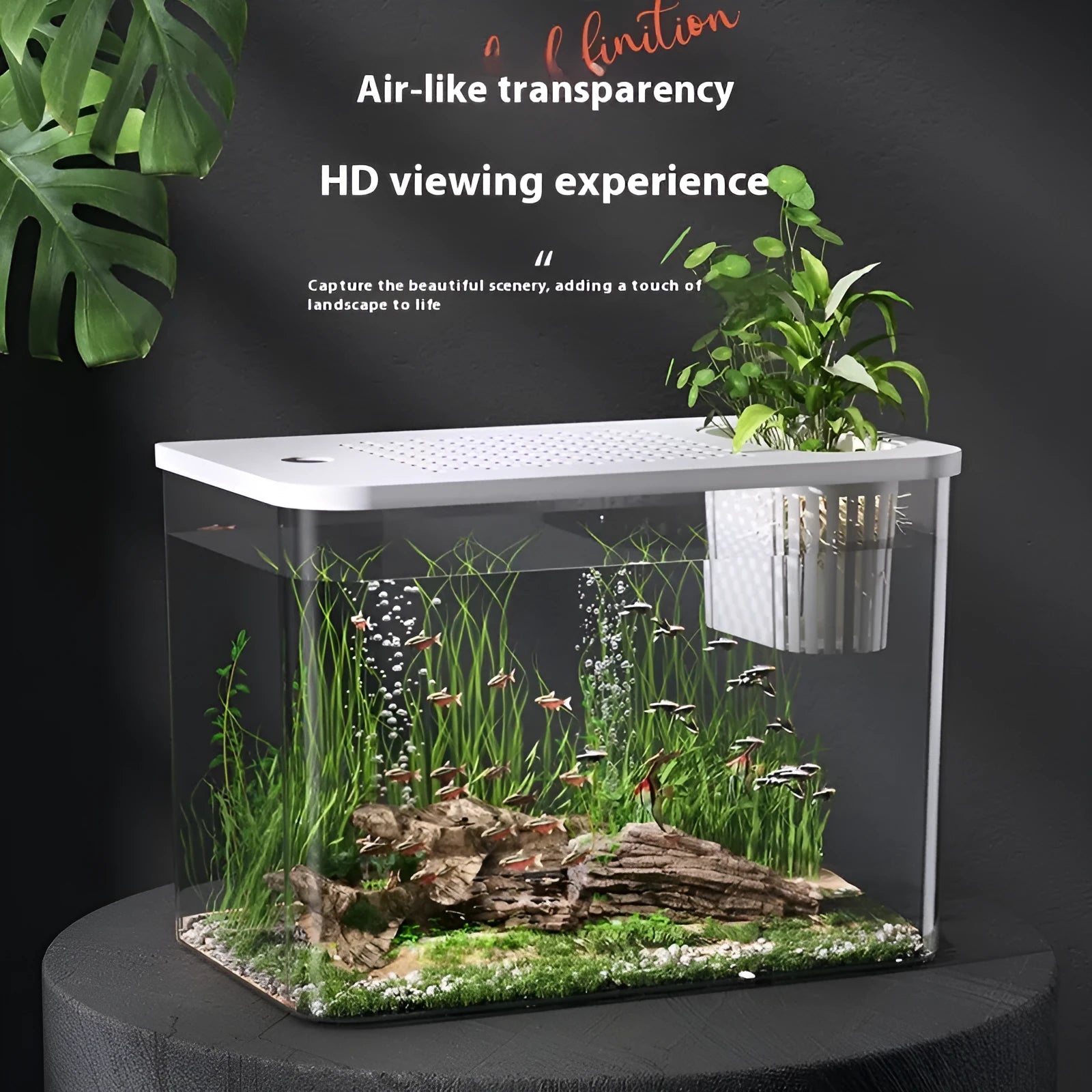 Mini betta fish tank aquarium with cover lid measuring 32cm long by 18.5cm wide