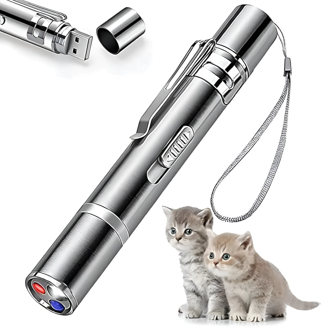 Silver aluminium alloy cat toy pointer with USB charging and multiple light patterns for indoor play