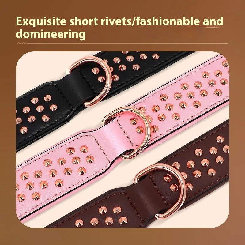 Leather dog collar with brass rivets in black, chocolate, or pink colour options for medium and large dogs.