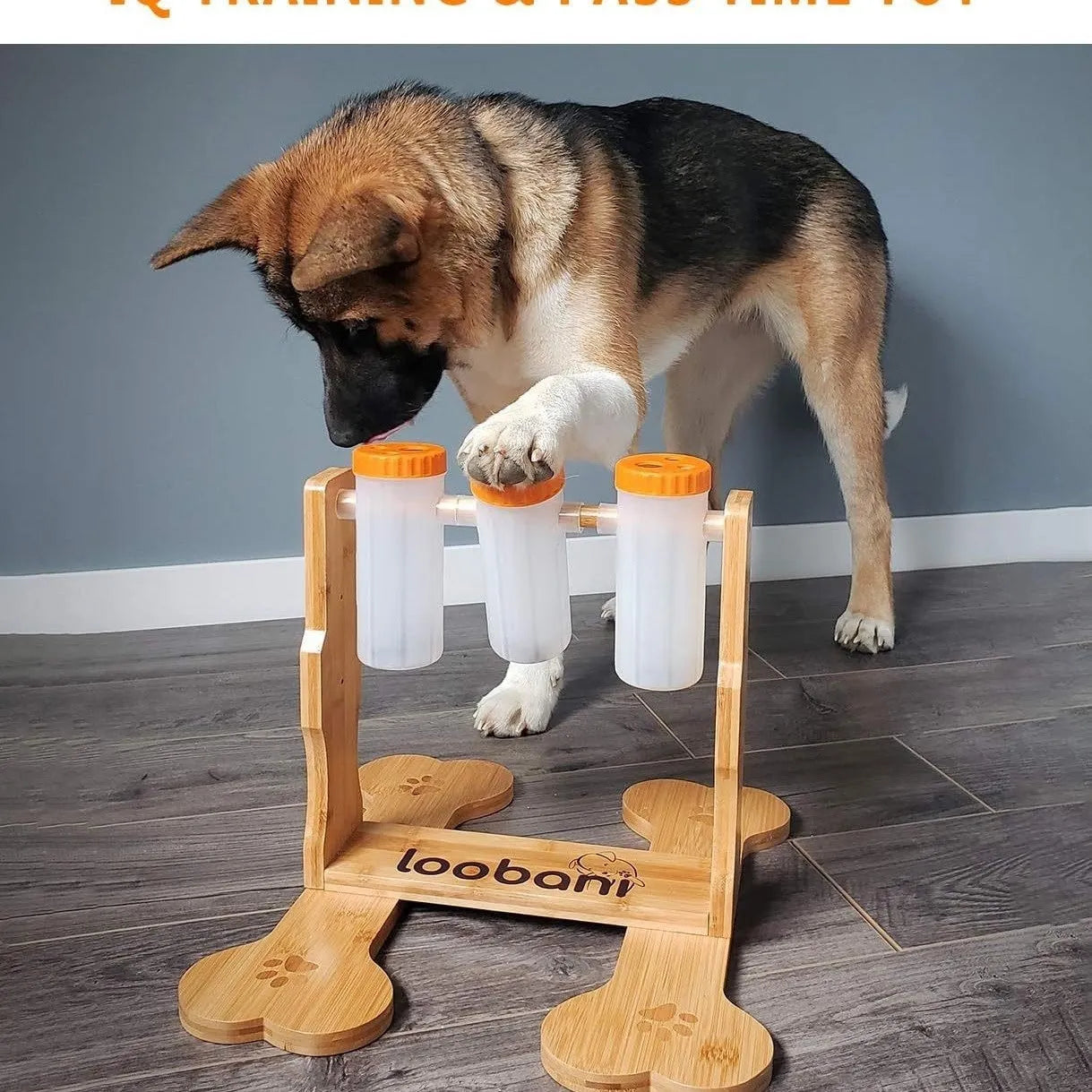Natural wood colour dog puzzle feeder toy measuring 31cm long by 30cm wide by 20cm high