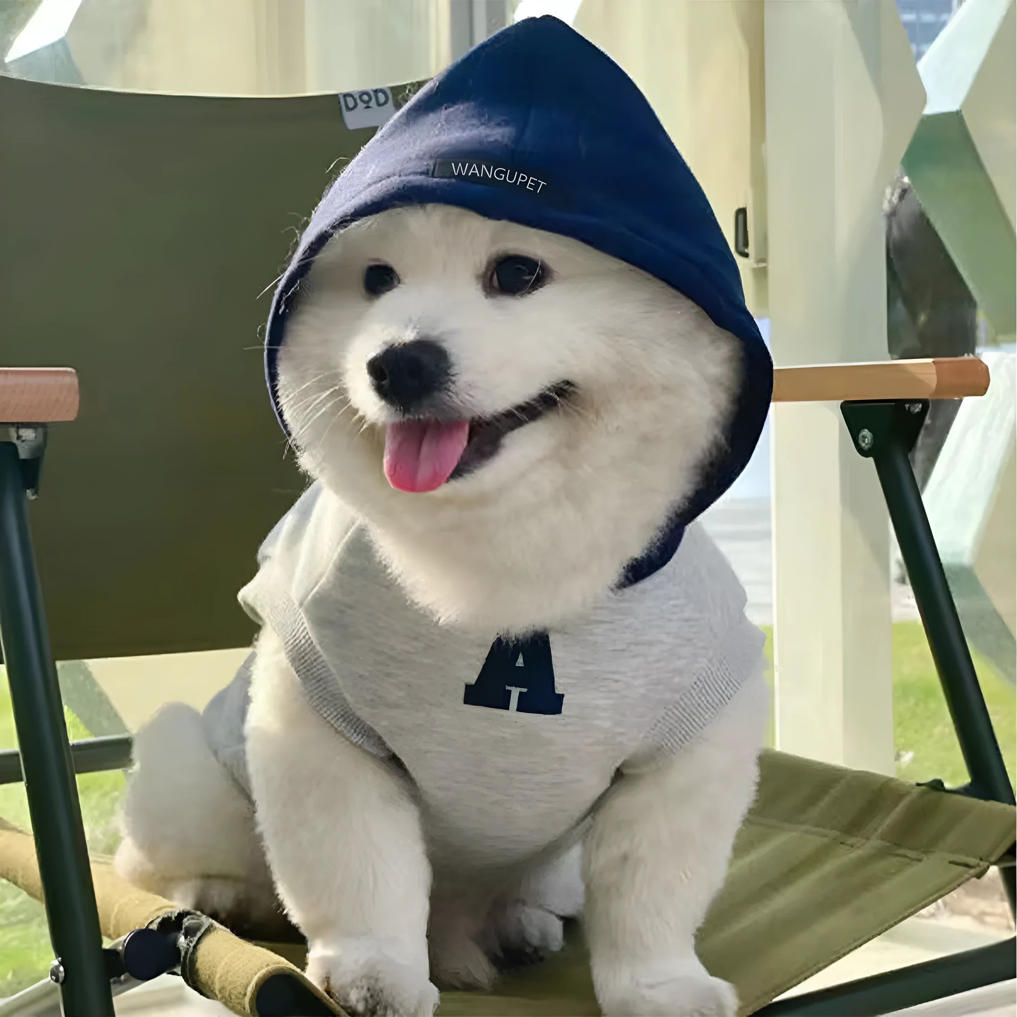 Blue and grey white polyester pet hoodie sweater with reflective lettering for dogs and cats