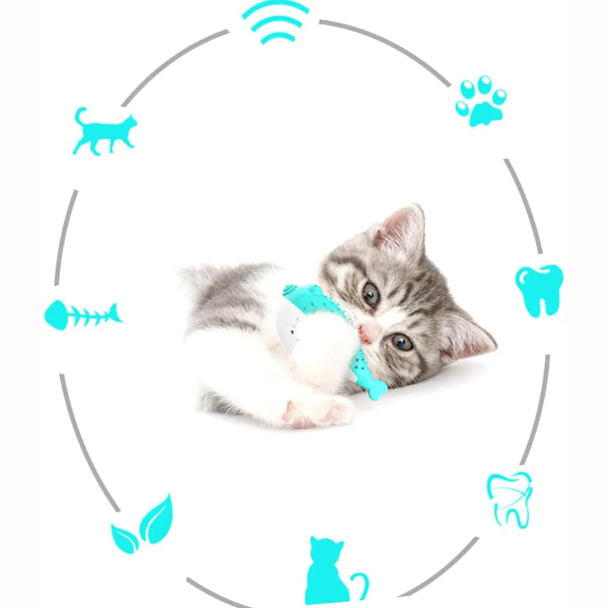 Blue silicone fish-shaped cat chew toy and teaser on a white background.