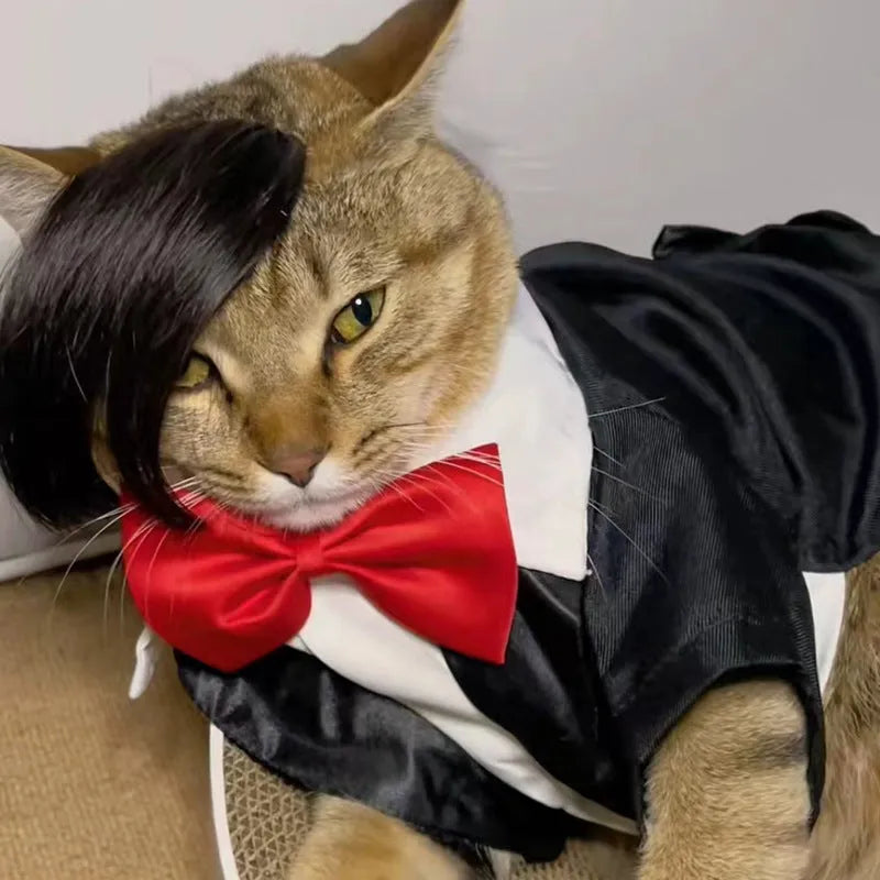 Black fox-style cat wig with imitation braid detail for pet dress up