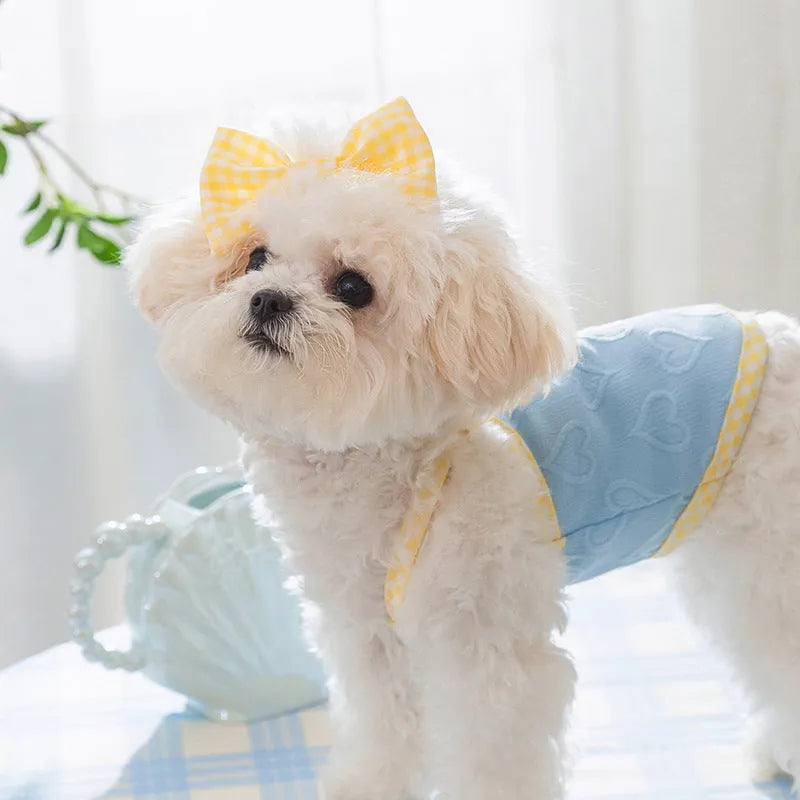 Small dog wearing blue vest with heart texture bow and matching hairband