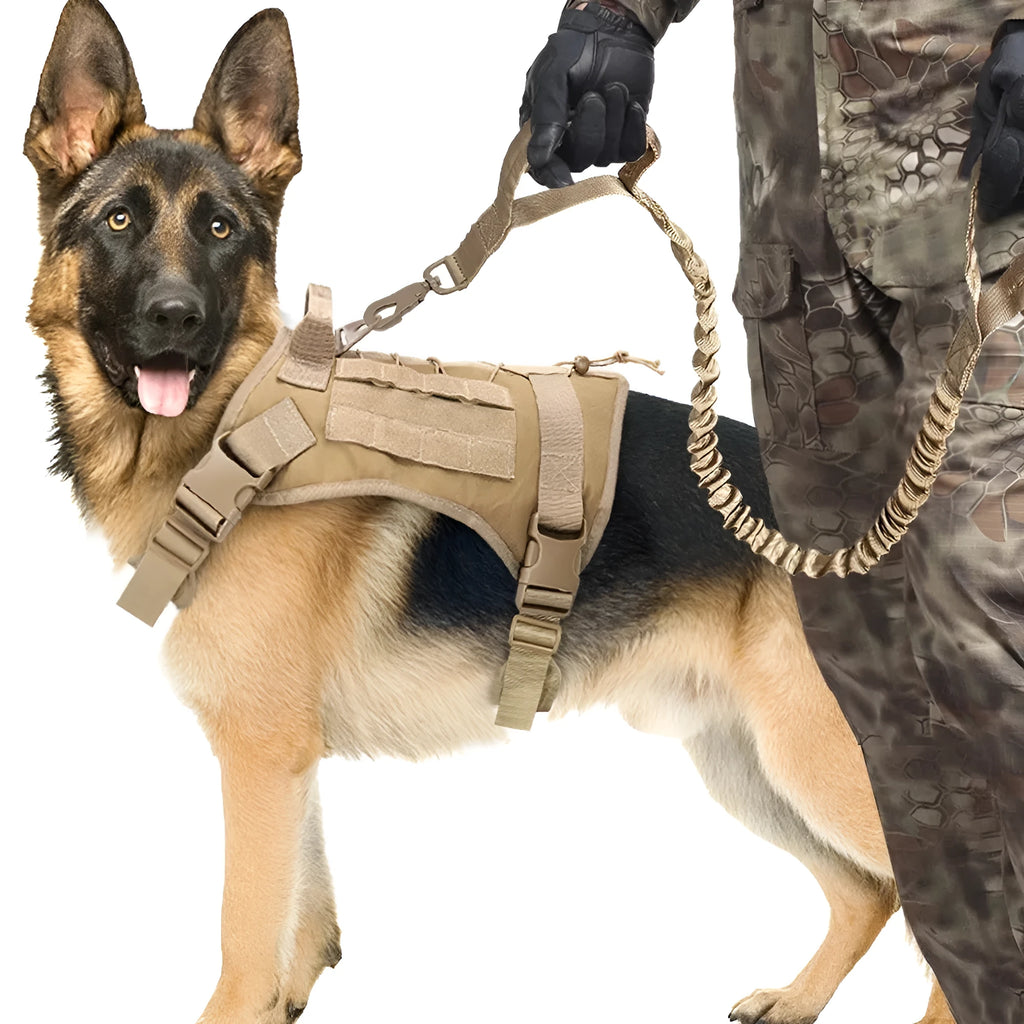 Retractable nylon dog traction rope with elastic buffer, anti-skid handle, 104-139x2.5cm, military green