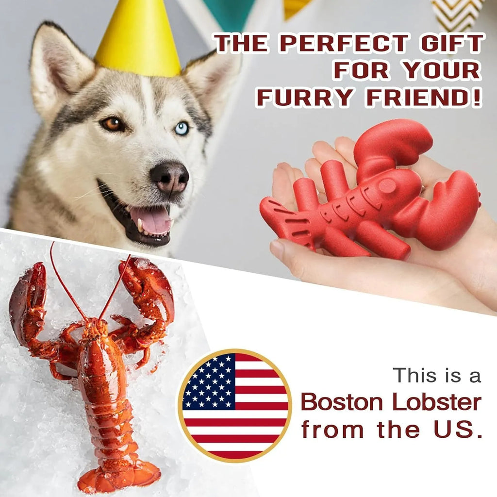Red hard nylon chew toy for large dogs on a white background