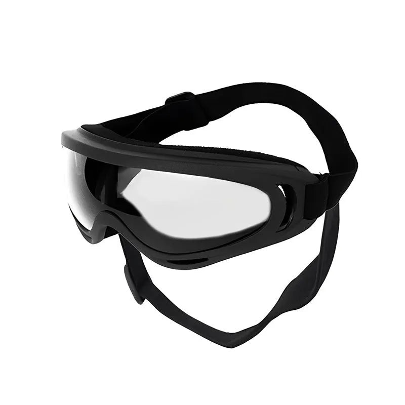 Dog wearing windproof plastic glasses with a coloured lens, showing PVC frame and casual style for outdoor use