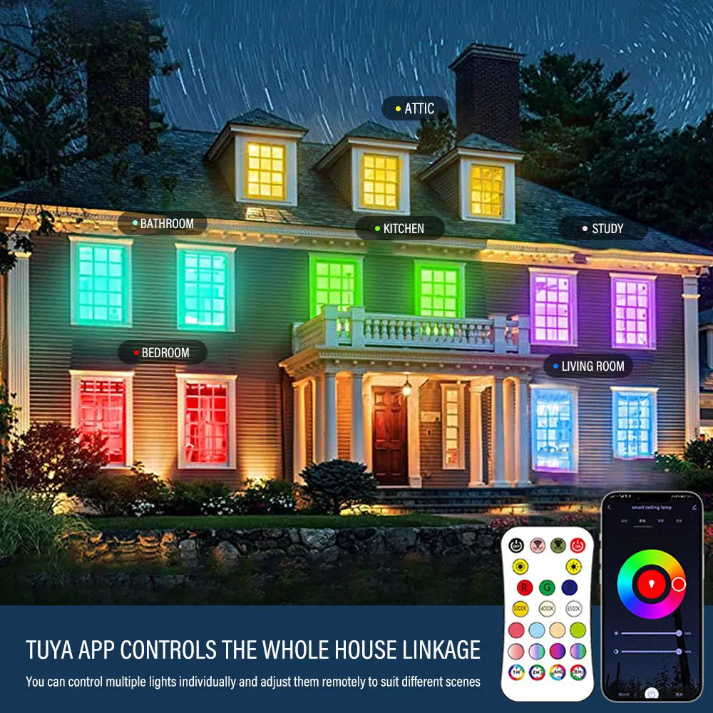 Black RGBCW Bluetooth ceiling lamp with circular design and colour changing capability