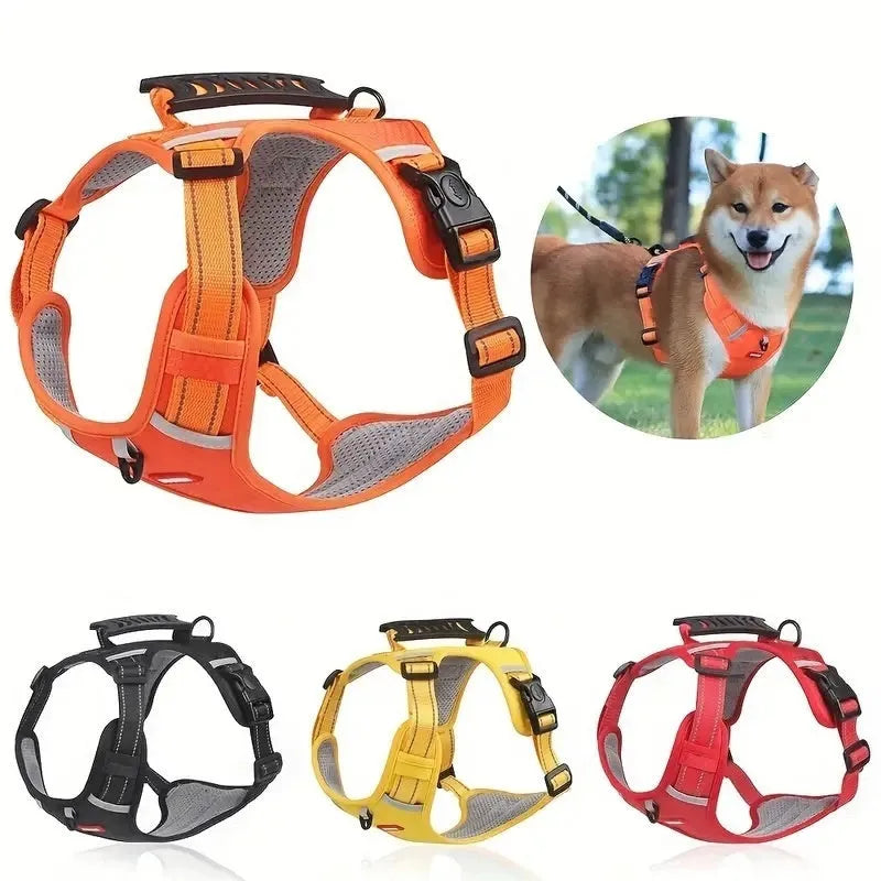 Adjustable polyester dog chest harness and lead in assorted colours on a white background