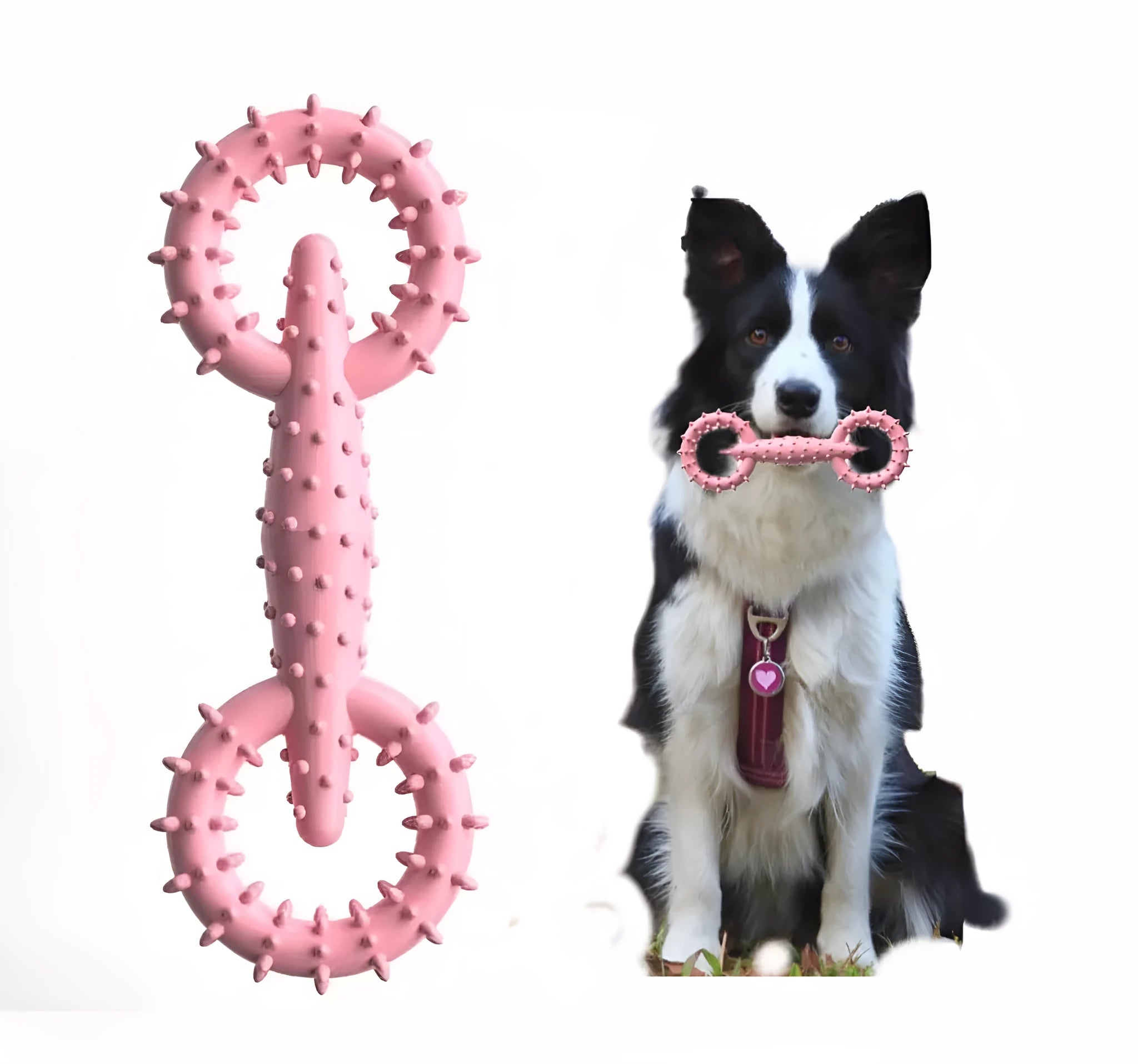 Blue TPR dog chew toy ring measuring 16cm across for puppy teething