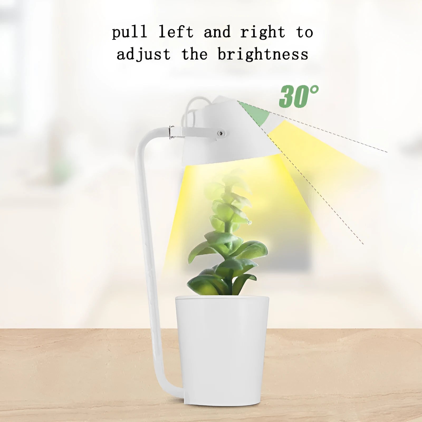White plastic desktop hydroponic container for soilless plant growth.