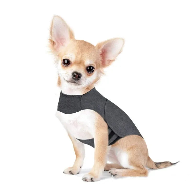 Heather grey dog anxiety jacket and warm vest made from brocade cotton fabric on a medium-sized dog.