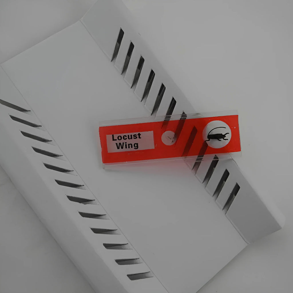 48 plastic microscope slides in red, green, yellow, and blue boxes containing prepared plant and animal specimens