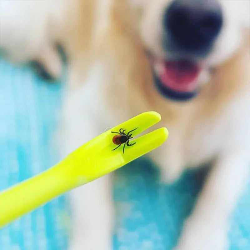 Three plastic tick removal tools with hook design for pets, shown in blue and green colours