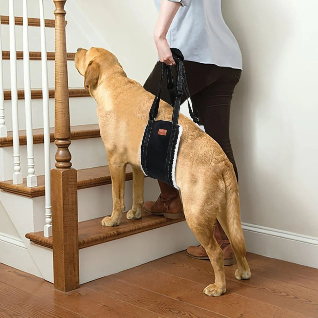 Adjustable dog sling for hind leg support with nylon straps and soft liner