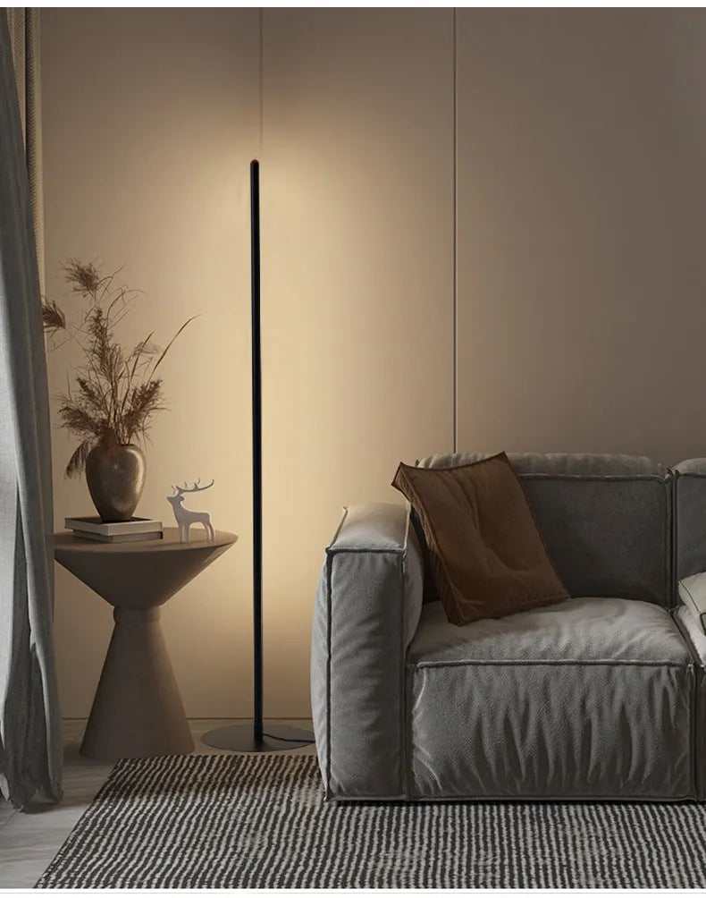 Vertical aluminium alloy floor lamp in modern simple style with USB power connection