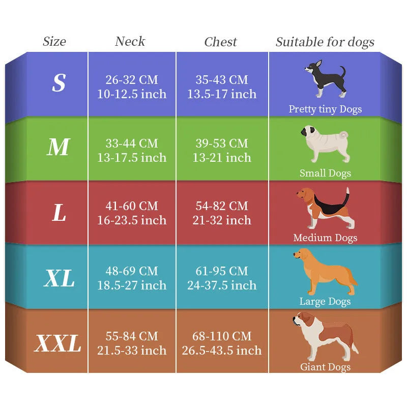Nylon luminous dog lead with seven-colour changing LED light and charging port