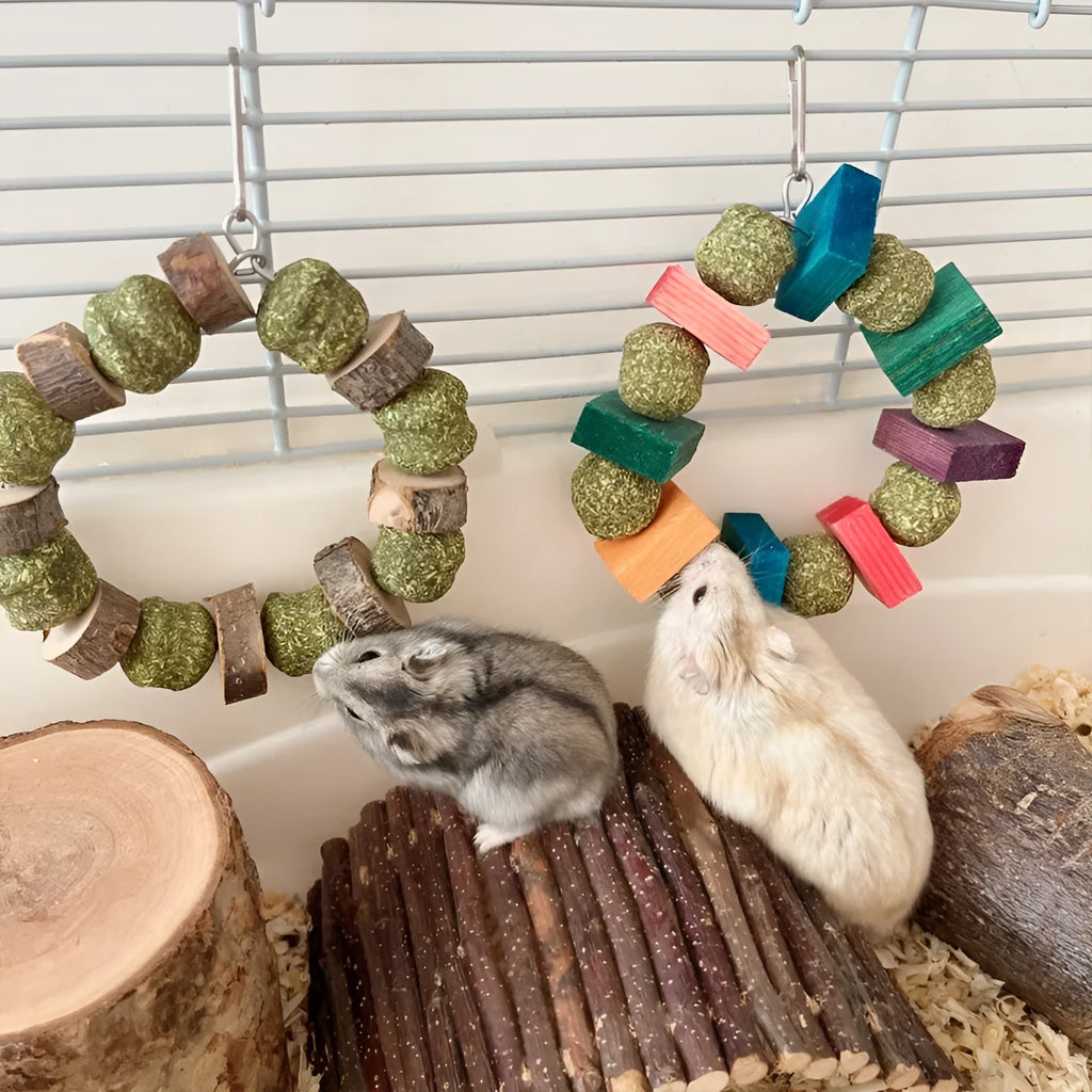 Hamster chew toy with decorative straw ball ring on wooden ring for small pets