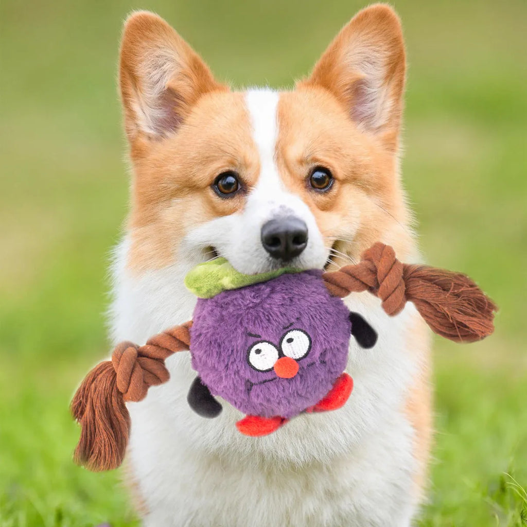 Green and purple interactive dog toy showing a plush rope knot and a molar tooth design for tugging and chewing.