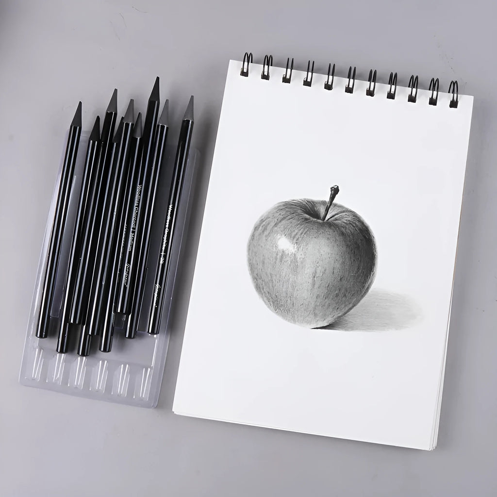 Solid graphite and carbonised artist pencil set with wooden shells for drawing and sketching