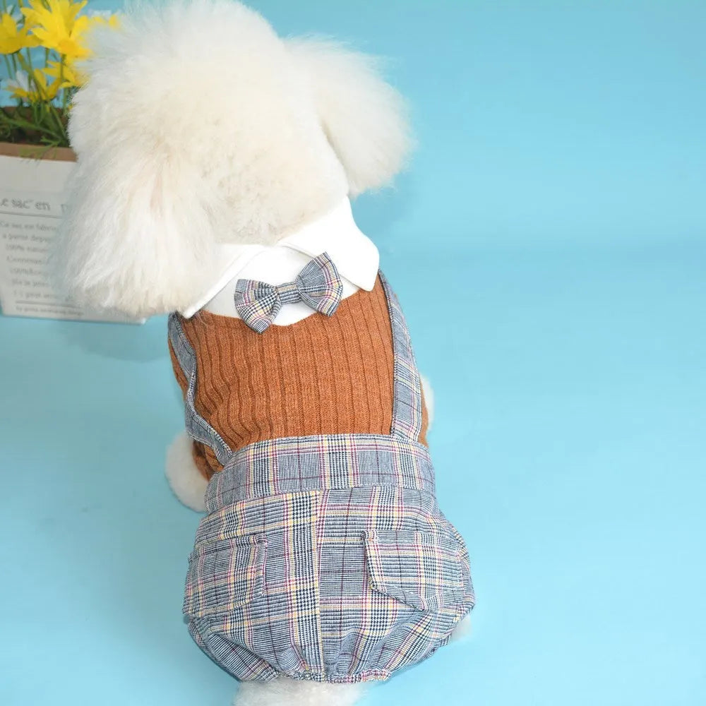 Small breed dog wearing orange cotton shirt with simple collar design
