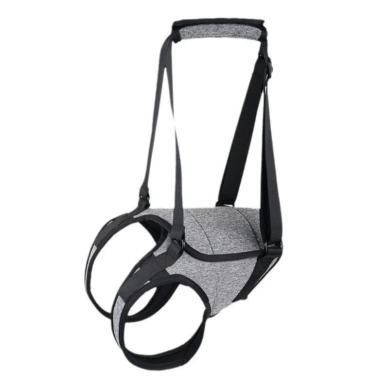 Grey neoprene dog rear leg recovery support belt shown with size chart.